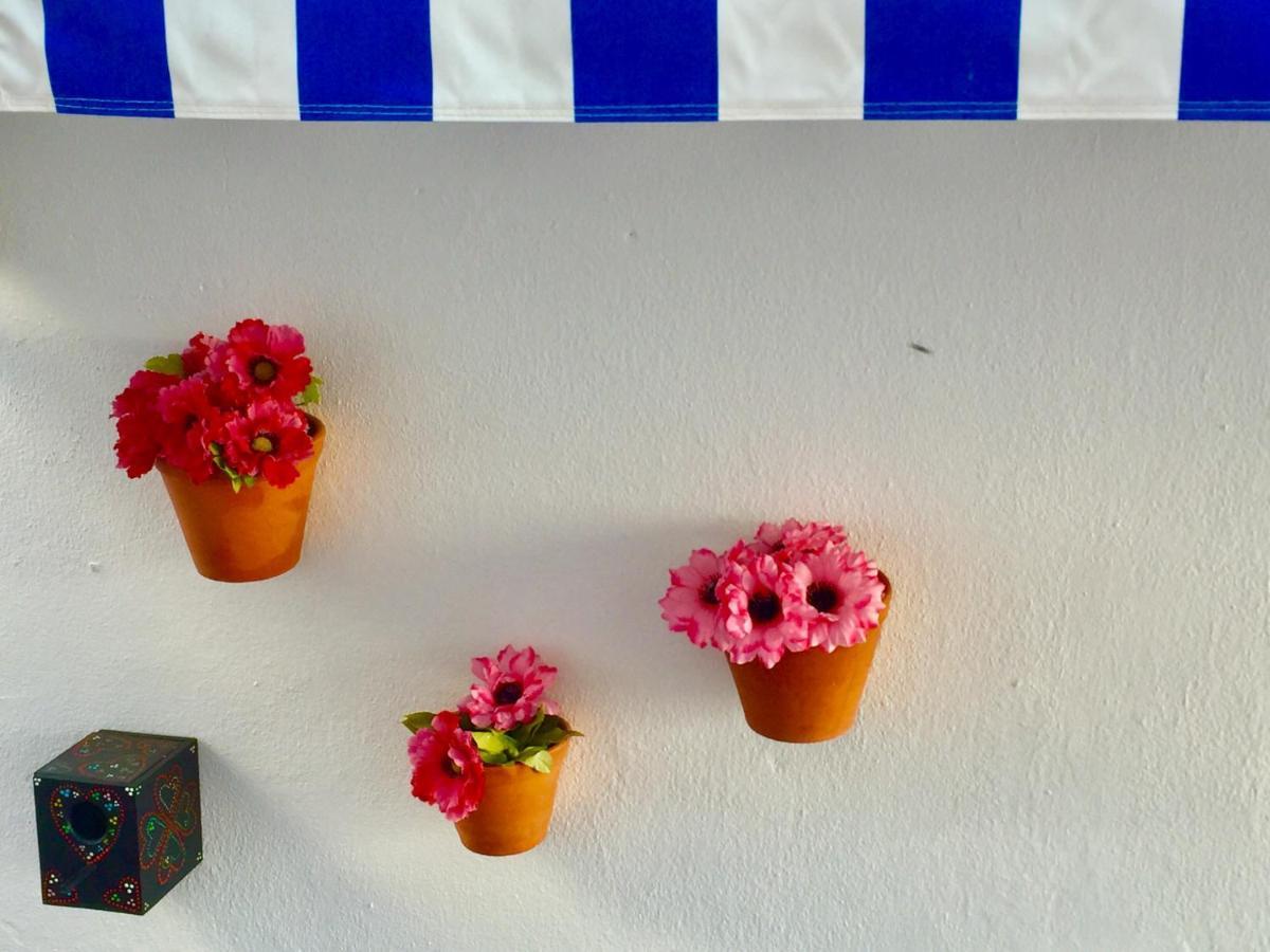 Apartmán Vila Fidalgo Nazaré Exteriér fotografie