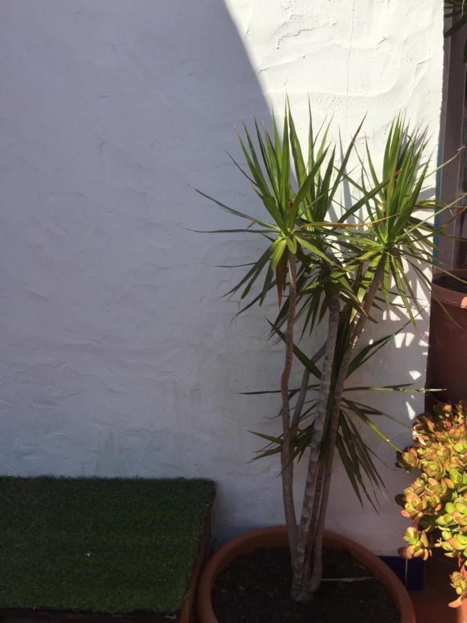 Apartmán Vila Fidalgo Nazaré Exteriér fotografie